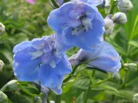 IMG_6485_1024x768.webp