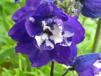 IMG_6491_1024x768.webp