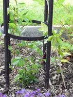 25.06 007.webp
