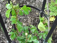 25.06 008.webp