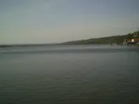 See2.webp