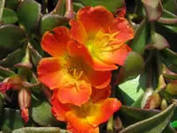 IMG_6502_1024x768.webp