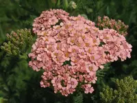 IMG_6503_1024x768.webp