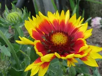 IMG_6506_1024x768.webp