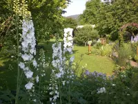 Garten Juni3 001.webp