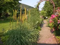 Garten Juni3 007.webp