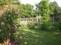 Garten Juni3 008.webp