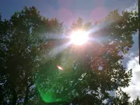 25062010_mittagssonne.webp