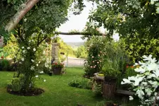 Lieblings Blick.webp