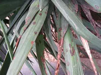 08.03.2009 1400a.webp