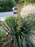 08.03.2009 1402a.webp