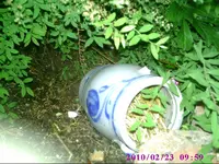 PIC00721.webp