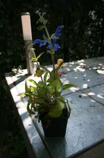 DSC03193.webp