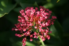 DSC03212.webp