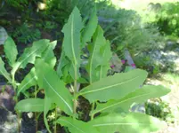 PICT0008.webp