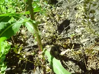 PICT0010.webp
