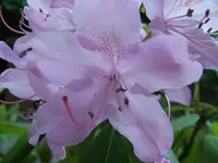 27323.webp
