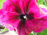 DSCF3572.webp