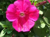 DSCF3573.webp