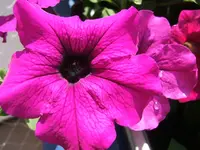 DSCF3574.webp