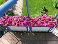 27322.webp