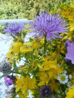 DSCF8009.webp