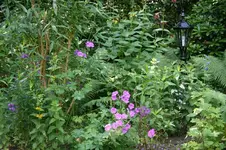 IMG_2077 - Kopie.webp