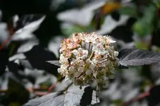 IMG_2081 - Kopie.webp