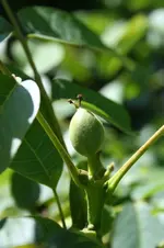 IMG_2084 - Kopie.webp