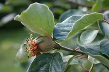 IMG_2088 - Kopie.webp