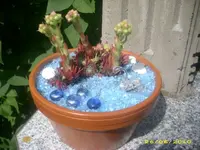 Garten 005.webp