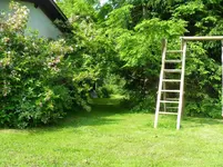SDC15326.webp