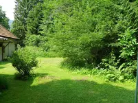 SDC15328.webp