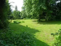 SDC15332.webp