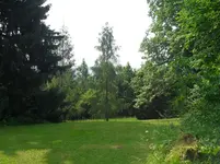 SDC15336.webp
