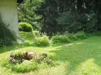 SDC15337.webp