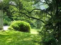 SDC15344.webp