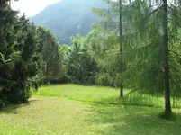 SDC15346.webp