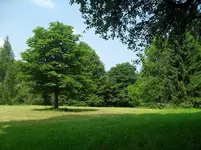 SDC15349.webp