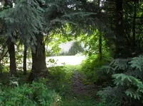 SDC15354.webp