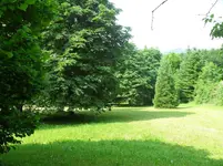 SDC15358.webp