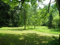 SDC15360.webp