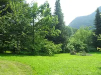 SDC15366.webp
