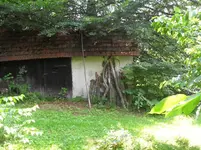 SDC15373.webp