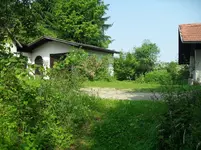 SDC15375.webp