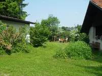 SDC15377.webp