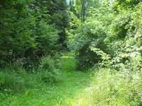 SDC15385.webp