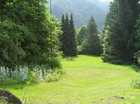 SDC15390.webp