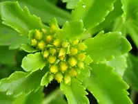 DSCF3587.webp