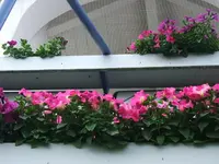 DSCF3588.webp